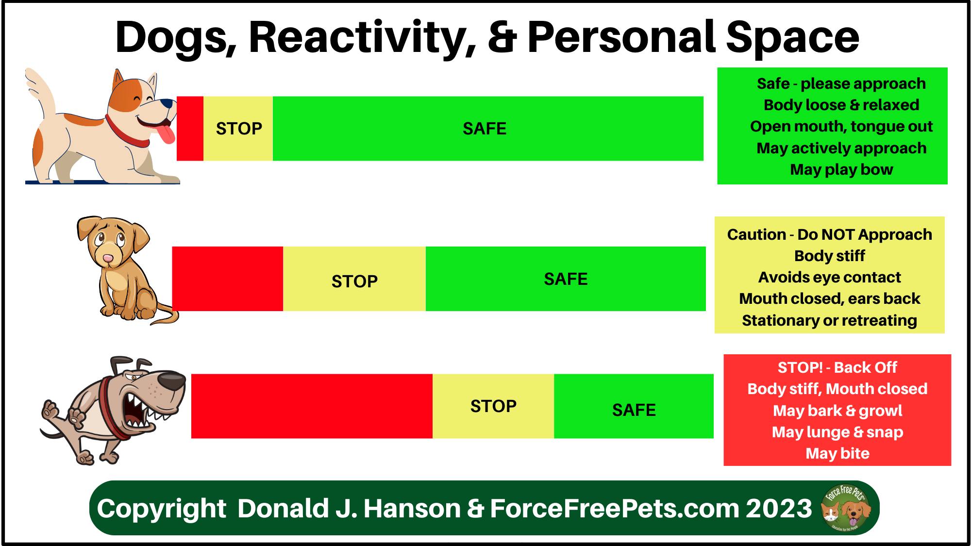 How to Interact with a Dog - Respecting Personal Space - Pet